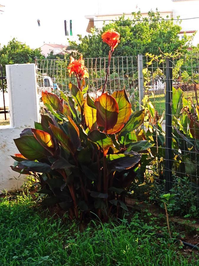 Apartamento Agathi'S House Mytikas  Exterior foto