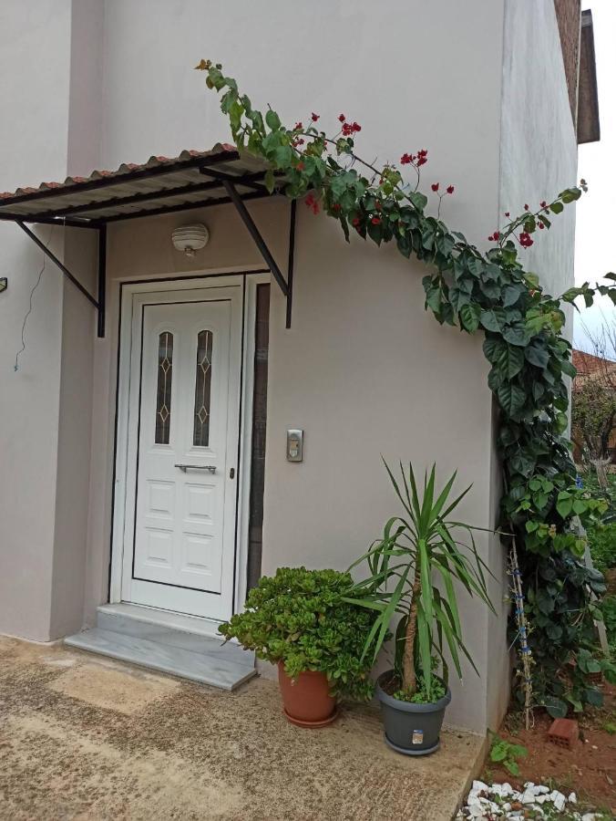 Apartamento Agathi'S House Mytikas  Exterior foto