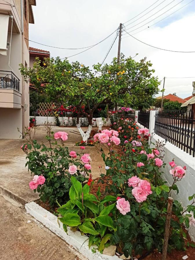 Apartamento Agathi'S House Mytikas  Exterior foto